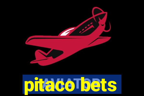 pitaco bets